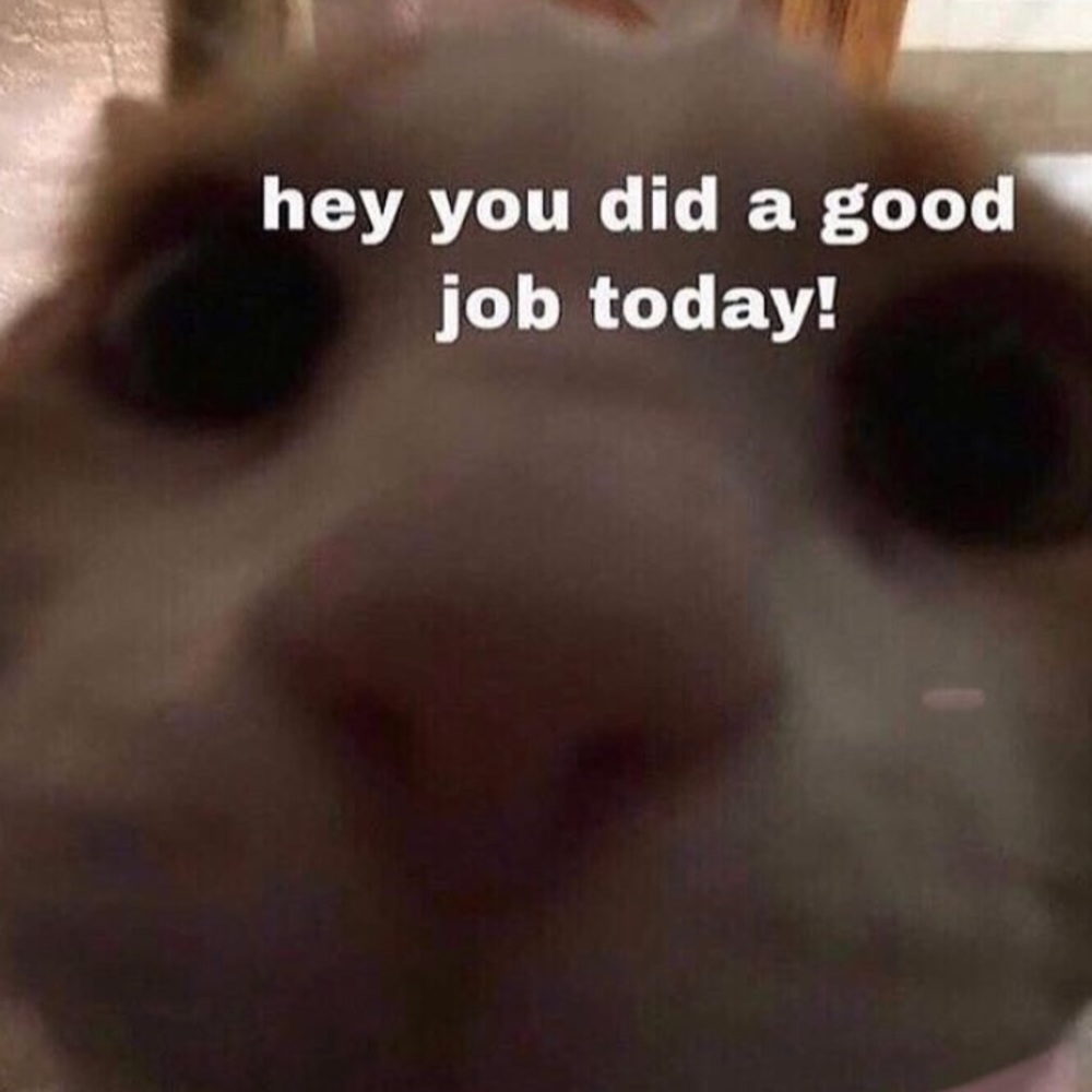 Meet your Posher, Sam